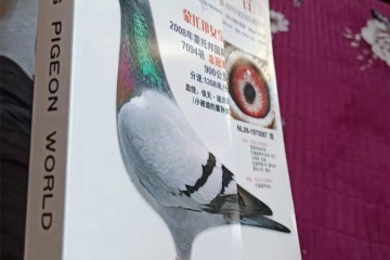 究竟有多少洋垃圾销入国内？！